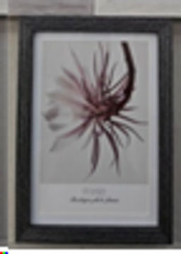 Фоторамка 21х30 / YL-200H-2/2130 /уп 24/