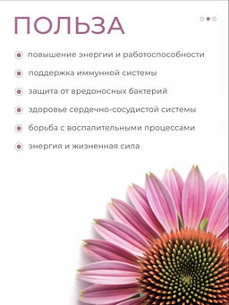 Растительный комплекс для иммунитета в капсулах - NUTRIHEAL фото 2