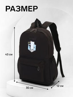 Рюкзак школьный на молнии, с карманами, с принтом, размер 30?12?43 см, чёрный
