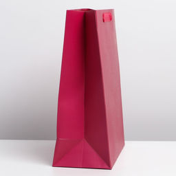 Цена за 2 шт. Пакет подарочный ламинированный, упаковка, «Фуксия», M 25.5×32×9 см