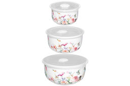 Набор 3 салат. 1 л 16*16*8+500 мл 13,5*13,5*7+300 мл 10,5*10,5*6,5 см Певчие птички с крышк. NEW B - Elan gallery фото 8