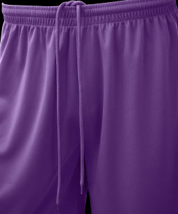 Шорты баскетбольные JOGEL CAMP Basic, фиолетовый  фото 3