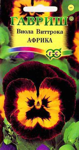 Виола Африка Виттрока 0,05гр (г) (Анютины глазки)