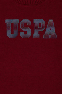 U. S. Polo Assn Бордовый трикотажный свитер с круглым вырезом для мальчика - U.s. polo assn фото 6