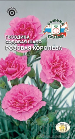 Гвоздика Шабо Розовая королева 0,1г (СеДеК)