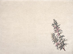 24С112-ШР/р.п./фкор Комплект полотенец из 3 шт 46*60 "Прованские травы-3" цв. 1 рис. 295