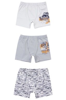 Трусы для мальчика 3шт. Baykar