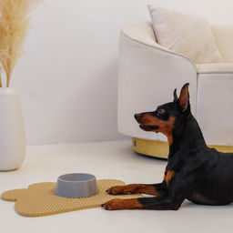 Коврик под миску и лоток Лапка, бежевый, 33,3х42,5 см - Пушистое счастье фото 3