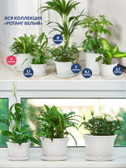 Кашпо круглое Ротанг 4,0 л с поддоном белый 364006 /Виолет/  фото 4