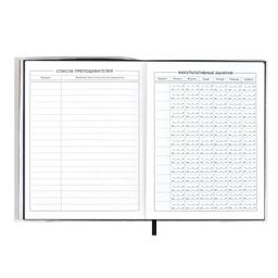 Дневник школьный арт. 54185 / 15 ЛИМОН - Феникс+ фото 7