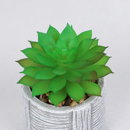 Цветочная композиция Кактус / WER-22 /уп 12/192/ микс - Галеонтрейд фото 23