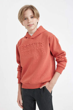 Толстовка с капюшоном для мальчика