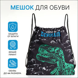 Мешок для обуви на шнурке, с принтом, размер 45×1×34 см, чёрный/белый/зелёный