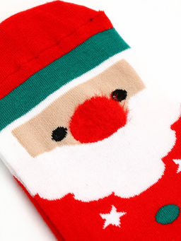 Подарочный набор новогодний Ароматы праздника, гель для душа, печенье, 100 мл и носки, URAL LAB