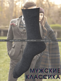 Цена за 10 пар. Легион носки мужские АССОРТИ 27  фото 6