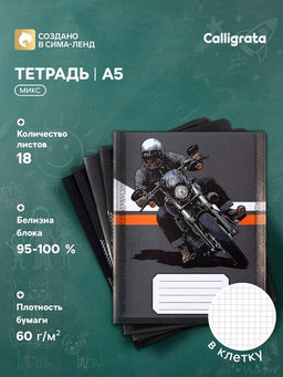 Цена за 20 шт. Тетрадь 18 листов в клетку Calligrata Racing, обложка мелованная бумага, ВД-лак, блок офсет, белизна 95%, МИКС