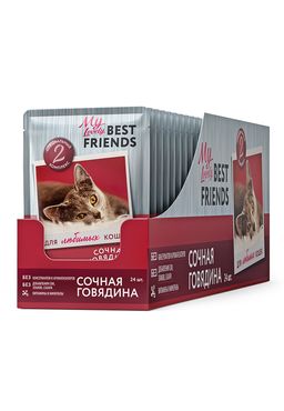 Мясное рагу для кошек «Сочная говядина» 24шт