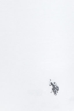 Erkek Beyaz __ Giyim _st Sepette S_rpriz _ndirim - U.s. polo assn фото 4