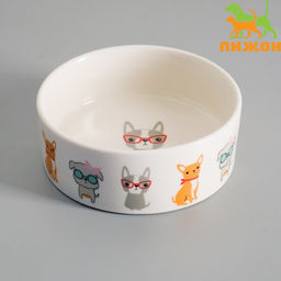 Миска керамическая Важный пес 250мл, 11,5 х 5 см, белая