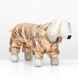 Комбинезон Блеск, размер S (ДС 24 см, ОГ 34, ОШ 23 см, до 5 кг), золотой