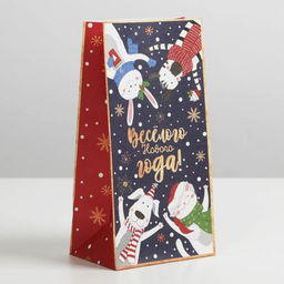 Цена за 10 шт. Пакет без ручек «Новогоднее время», 10×19.5×7 см