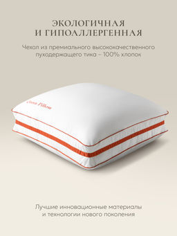 Подушка "Queen Pillow Alaska Red Label", 60х60, EC-5775