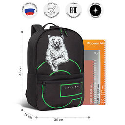 RQL-614-1 Рюкзак - Grizzly фото 40