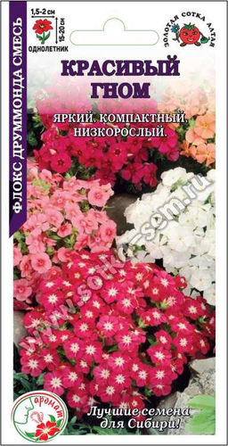 Флокс Красивый гном (смесь) 0,2г (Золотая сотка Алтая)