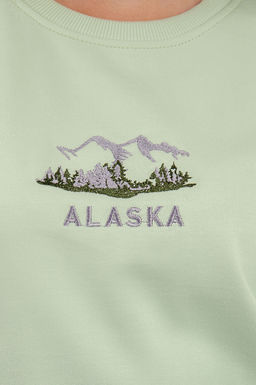 Арт.15112 Свитшот женский 44-52 (5 шт) Цвет:салатовый - Калинка фото 2