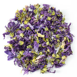 Мальва цветы