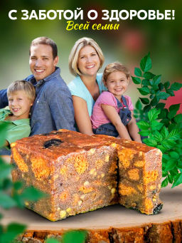 Щербет яблочный с черемухой без сахара