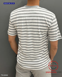 Мужская футболка с полоской