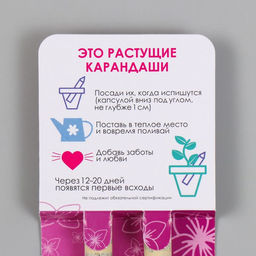 Набор для выращивания, карандаши подарочные «Лаванда + Сирень», mini, простые чернографитные, 2 шт.