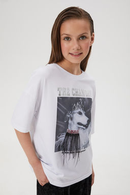 a8fe23d51e3db8944cac1f9e976568261nij7z5t5m1299ny3