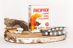 Грибная серия БАД Фитокапсулы "Лисички с корой осины и гвоздикой" Алфит 1236