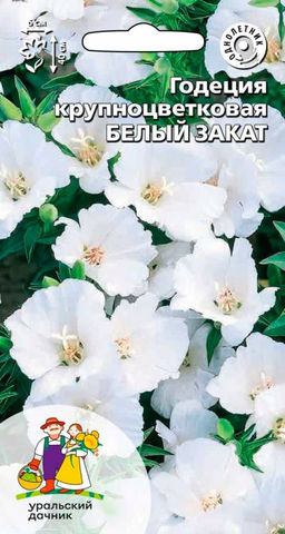 Годеция БЕЛЫЙ ЗАКАТ