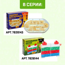 Набор для опытов Лабиринт для муравьёв - Эврики фото 4