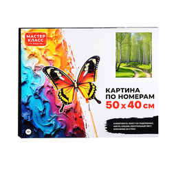 Набор для рисования "Картина по номерам 40*50 см. Березовая роща"