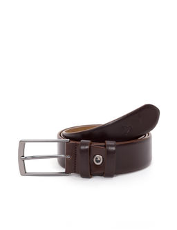 Коричневый пояс