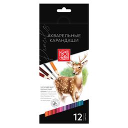 Аква-колор Изостудия IZO-WCP12 Набор акварельных карандашей заточенный 8 х 12 цв