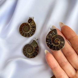 Кулон из Аммонита