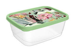 Цена за 2 шт. Контейнер для продуктов прямоугольный 0,85л с декором (зеленый) 222132118/08