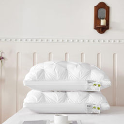 Одеяло Candies с подушками Тесто ODCANPT01 Евро