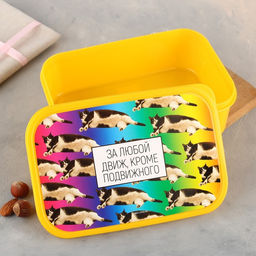 Ланч - бокс прямоугольный «За любой движ, кроме подвижного», 1200 мл