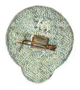 Значок Российская аэростатная группа Экосфера