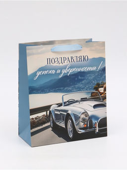 Цена за 2 шт. Пакет ламинированный Поздравляю, ML 23 ? 27 ? 11,5 см