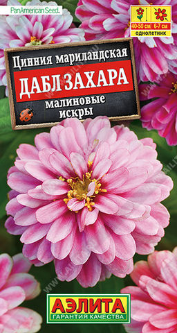 Цинния Дабл Захара малиновые искры (2029