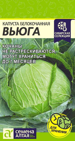 Капуста Вьюга/Сем Алт/цп 0,3 гр. Сибирская Селекция! (2029 / 4025)