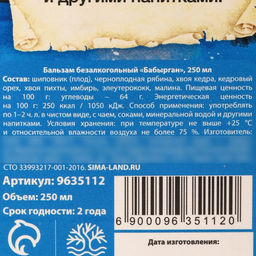 Бальзам С новым годом крепкий иммунитет: шиповник, черноплодная рябина, хвоя кедра, хвоя пихты, имбирь, 250 мл. - Доброе здоровье фото 4