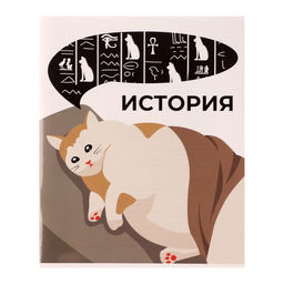 Цена за 10 шт. Предметная тетрадь по истории Calligrata «Животные мемы», 36 листов, в клетку, со справочным материалом, обложка из мелованной бумаги